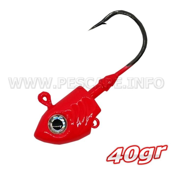 Jig Anzuelo cabeza plomada 40Gr
